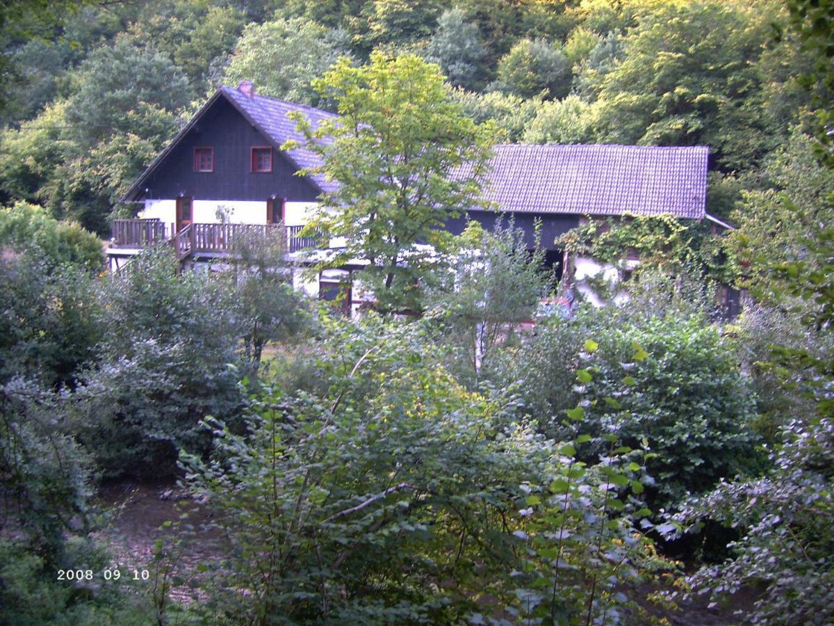 Ferienwohnung Neumühle Lutzerath Exterior foto